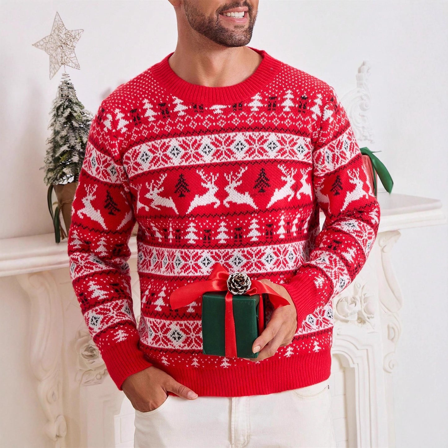 fasic Christmas Sweater Men's